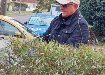 Herr Busch schneidet Busch - Herbstputz (Oktober 2021) | Foto: Siegfried Adaschkiewitz