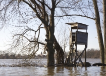 Hochwasser in Kleinliebenau 4 (2011) | Foto: Heike Sichting