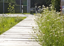 Der Lustweg im Sommer (2011) | Foto: Heike Sichting