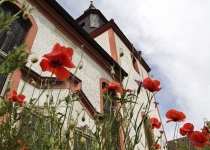 Kirche im Frühsommer (2012) | Foto: Thomas Weinbrecht