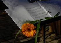Sommerlieder I Foto: Holger Simmat
