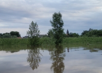 Hochwasser vor Kleinliebenau (Juni 2013) I Foto: Heike Sichting