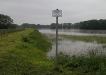 Hochwasser vor Kleinliebenau (Juni 2013) I Foto: Heike Sichting