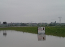 Hochwasser vor Kleinliebenau (Juni 2013) I Foto: Heike Sichting