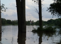 Hochwasser vor Kleinliebenau (Juni 2013) I Foto: Heike Sichting