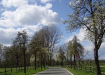Frühling kurz vor Kleinliebenau (April 2016) | Foto: Heike Sichting