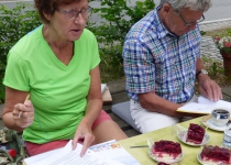 Stiftungssitzung