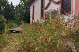Impressionen 2019