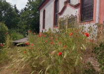 2019 06 09 - Pfingsten - JB