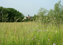 Kirchturm aus der Ferne (2008) | Foto: Heike Sichting