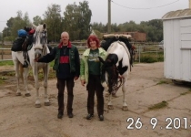Pilgerpferd Culano (2013) | Foto: S. Adaschkiewitz